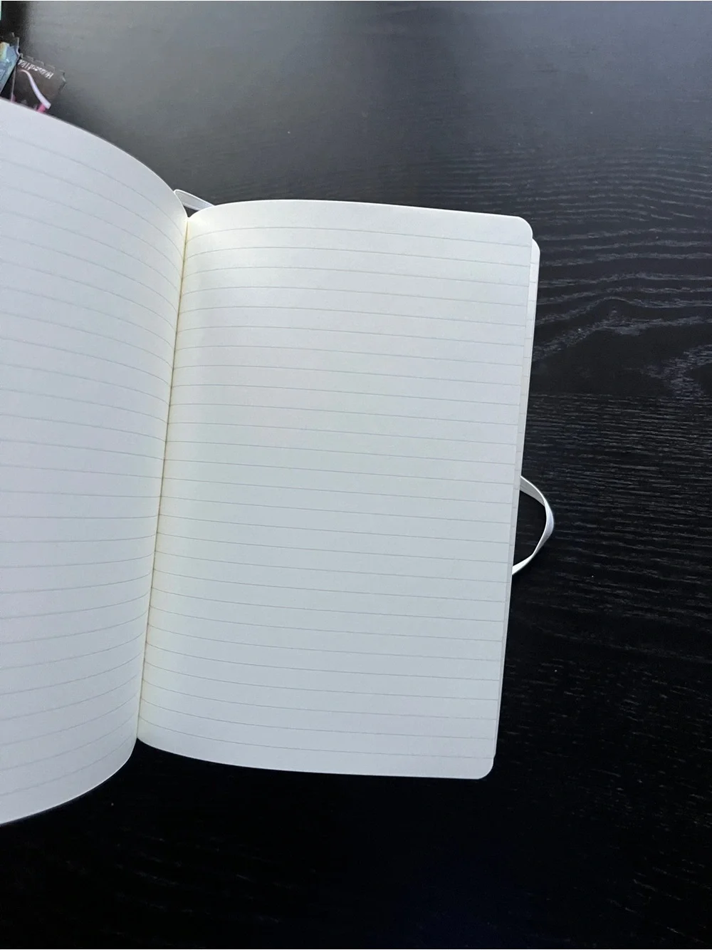 Paperage Datadog Hardcover Lined Journal Notebook White 5.7x8 Elastic Pocket